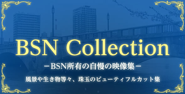 BSN Collectionイメージ
