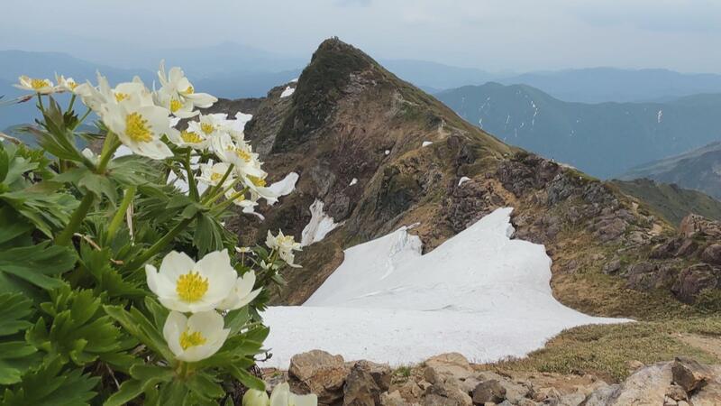 谷川春01.jpgのサムネイル画像