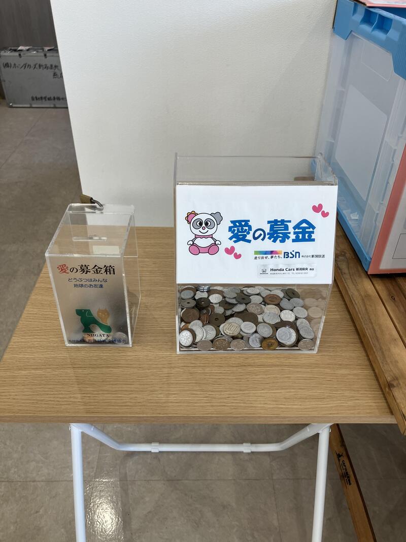 IMG_0575.JPGのサムネイル画像