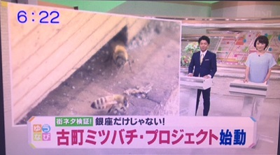 工藤 淳之介「やはり苦手、でも非常に期待」