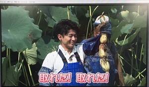 工藤 淳之介「レンコン！高温！台風は心配...」