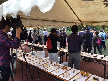 工藤 淳之介「きのこ鑑別」