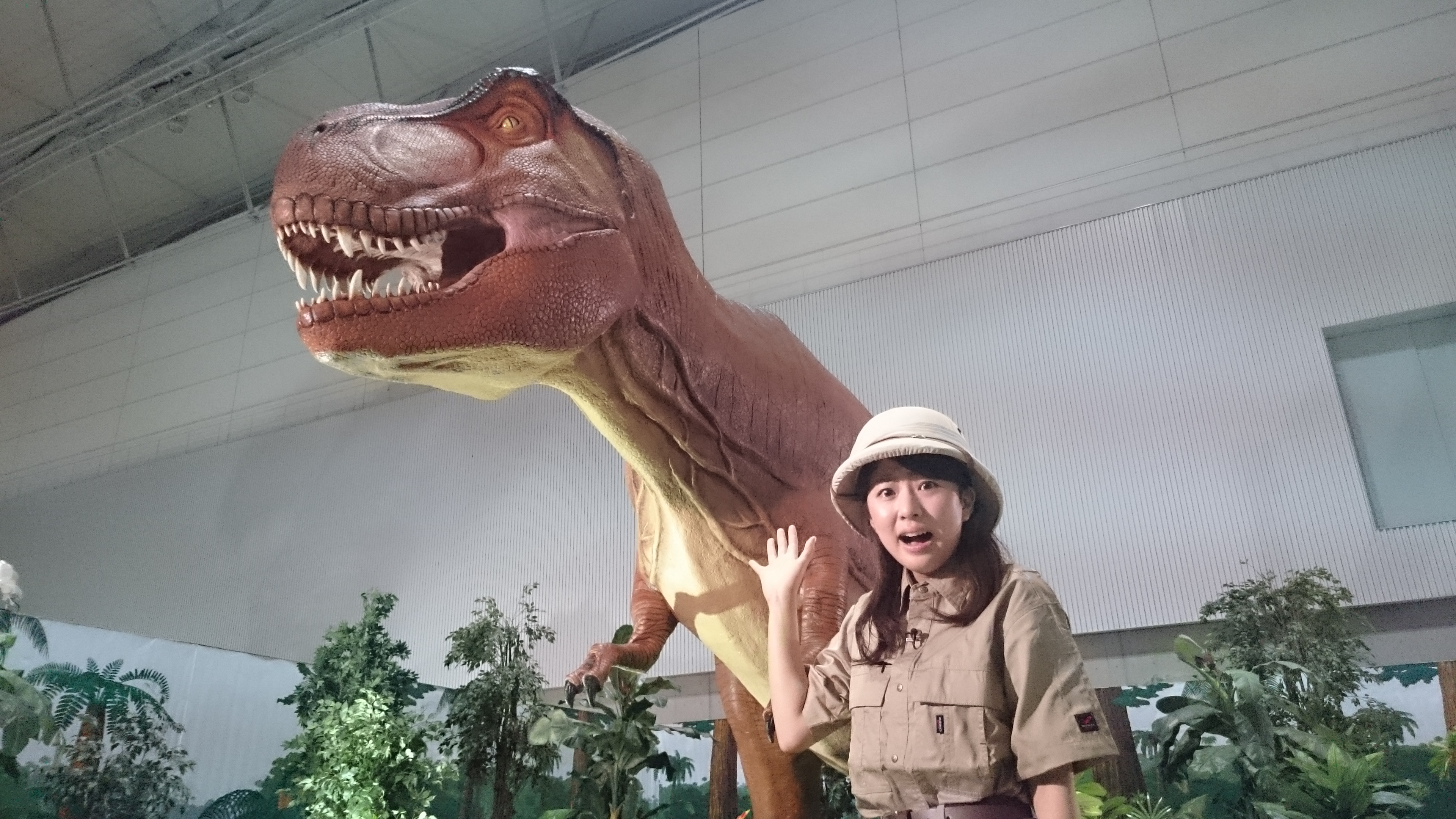 mitsuishi DSC_0827.JPG