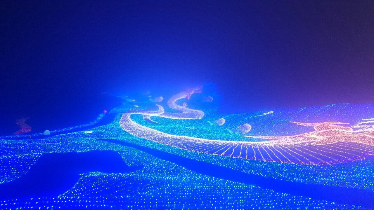 mistuishi IMG_2077.jpg