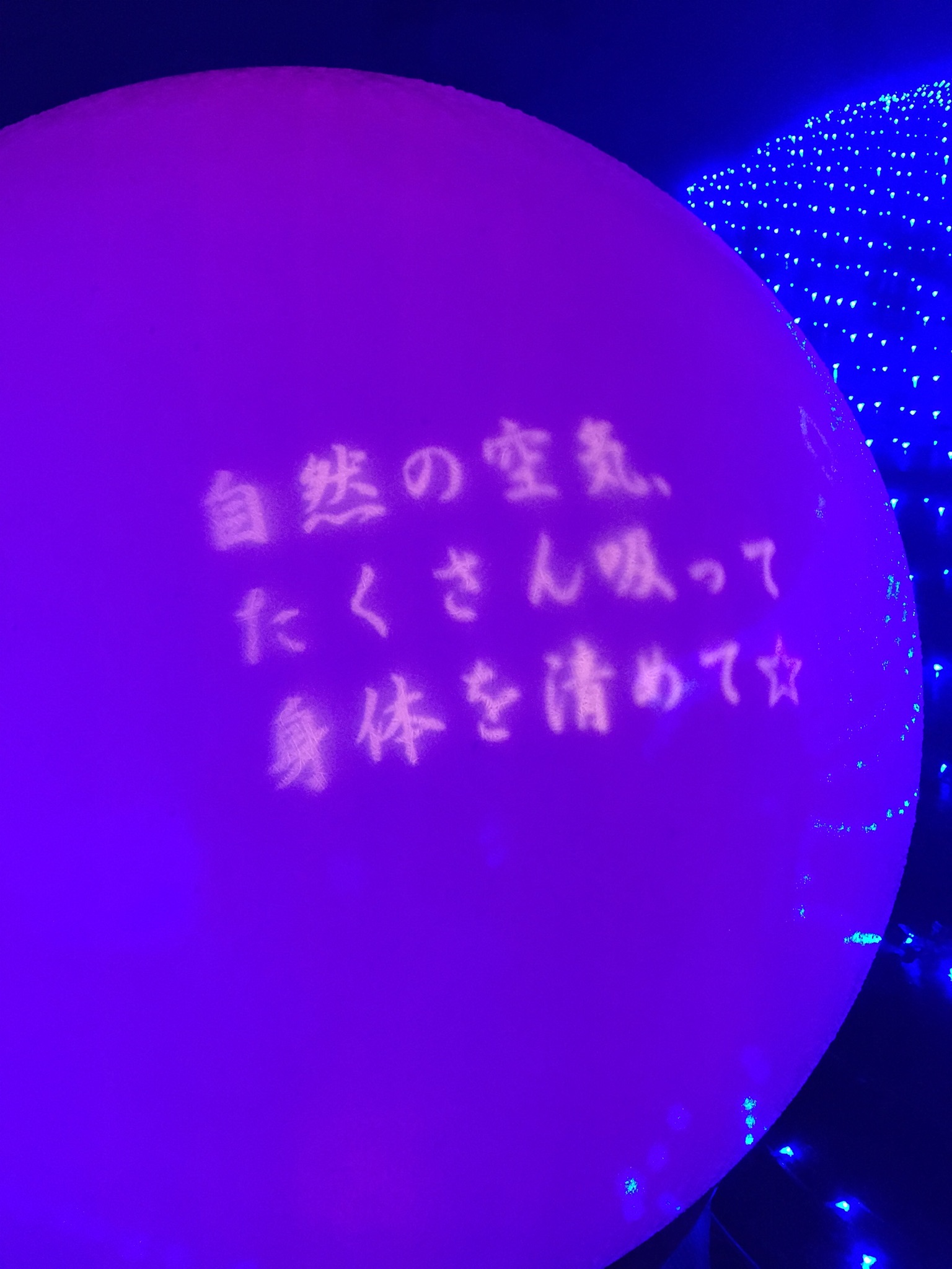 mitsuishi IMG_4793.jpg