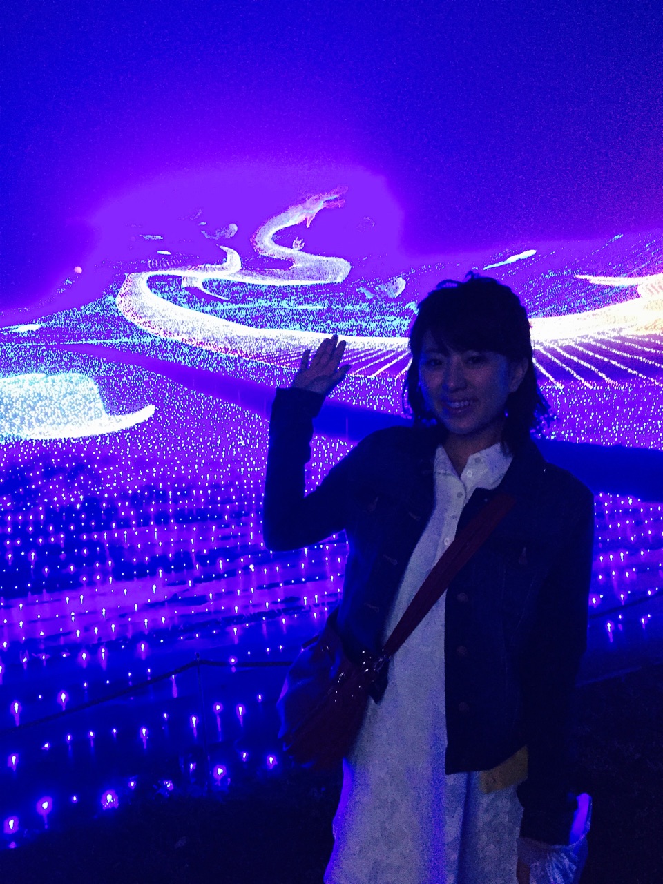 mitsuishi IMG_5199.jpg