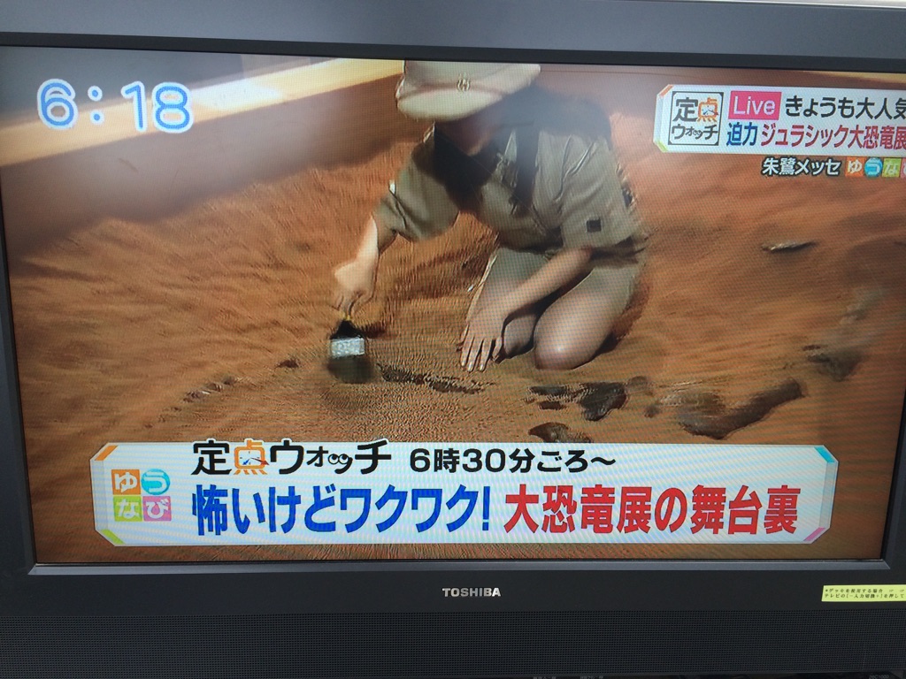 mitsuishi IMG_5426.jpg