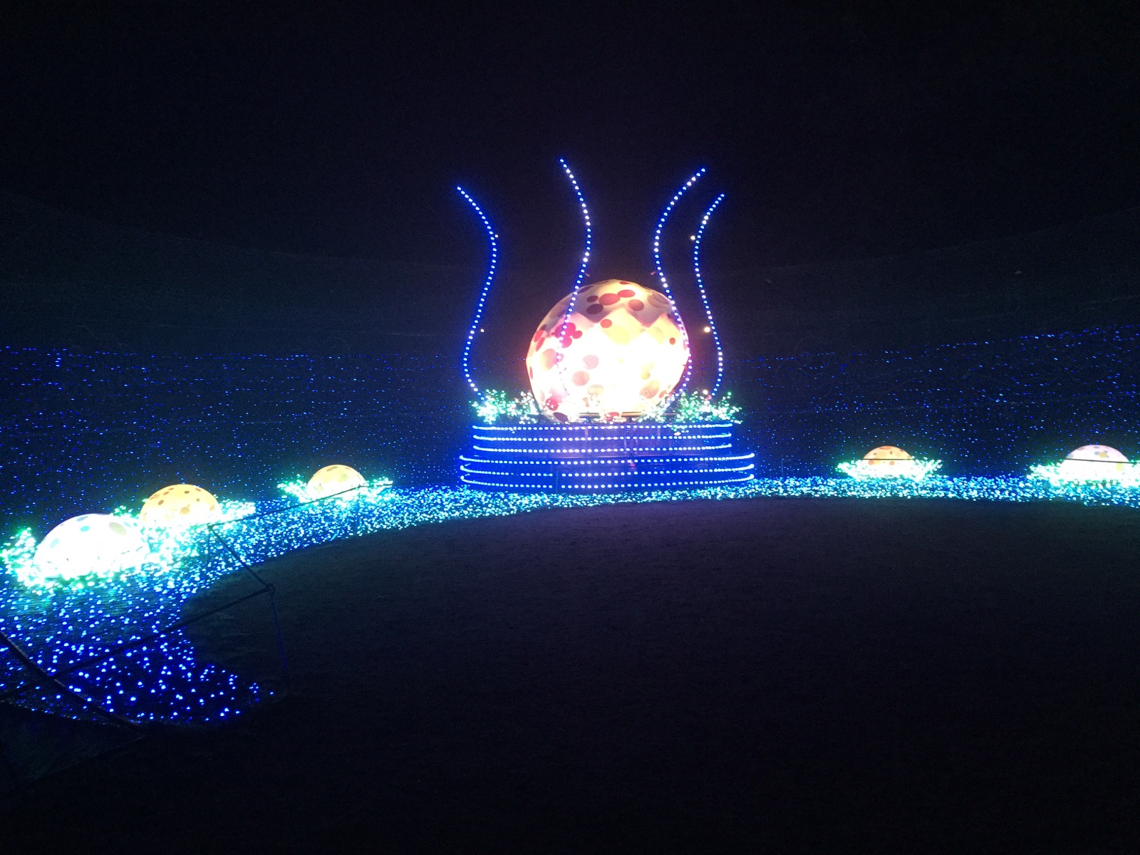 mitsuishi IMG_9744.jpg