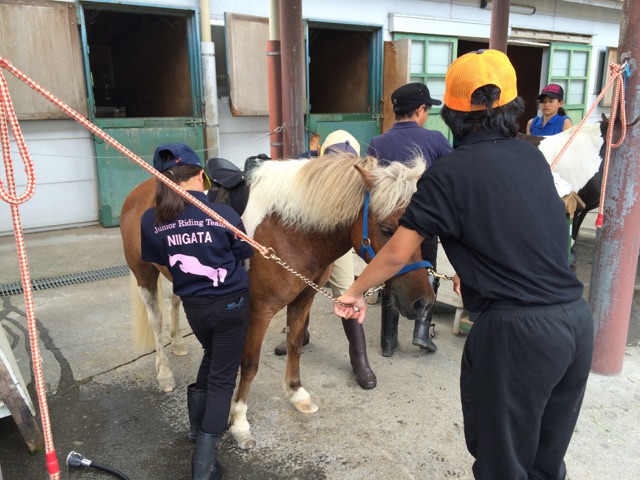 mitsuishi IMG_1545.jpg