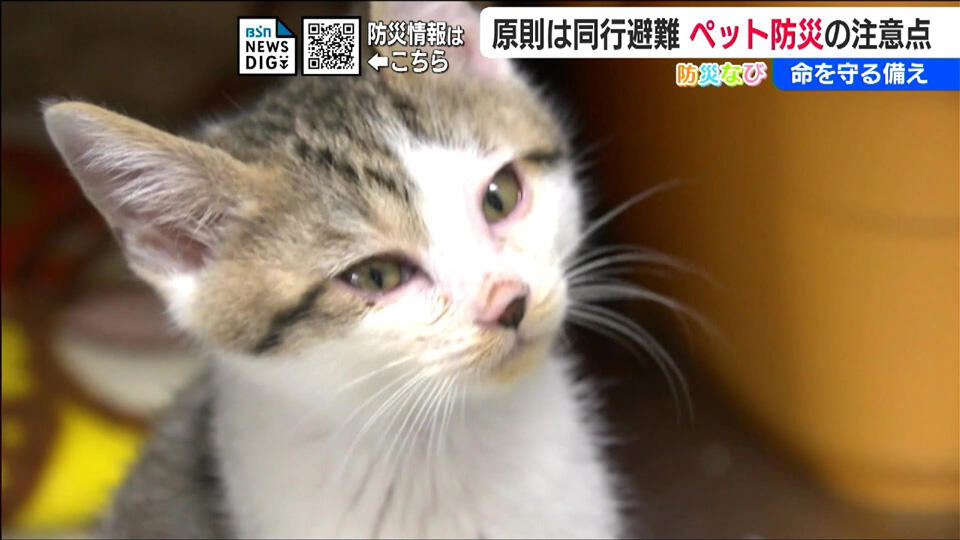 「できるだけ一緒にペットと避難するのが原則」災害時に必要な『同行避難』の備えと注意すべきことは？