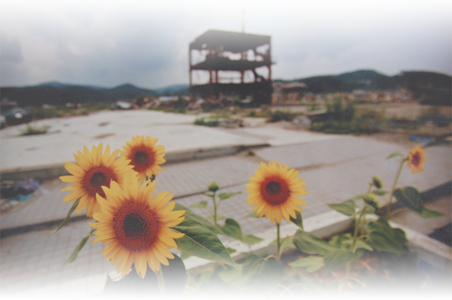 Bsn新潟放送 会社情報 採用情報