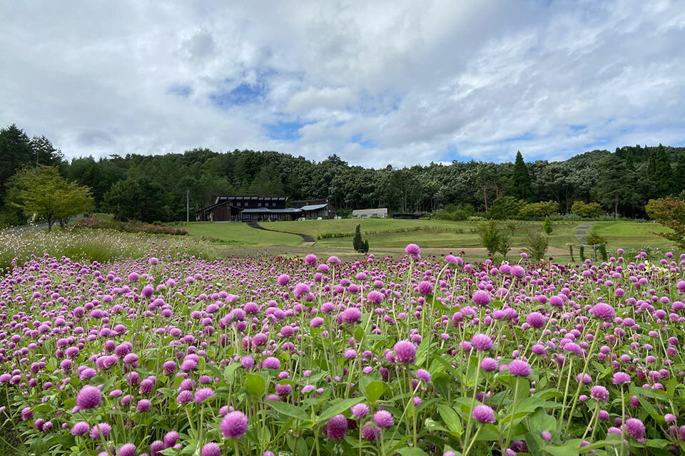 ハーバルパーク散策