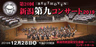 第20回新潟第九コンサート2019イメージ