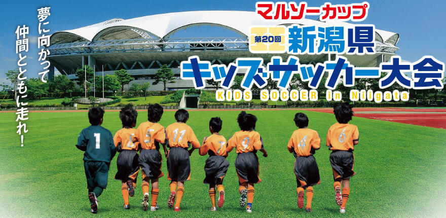 マルソーカップ　第20回新潟県キッズサッカー大会 - 県大会