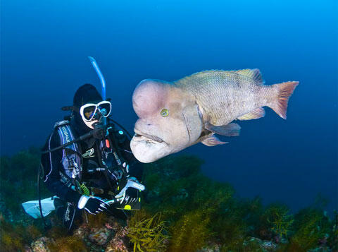 プレセント１_小木ダイビングセンター