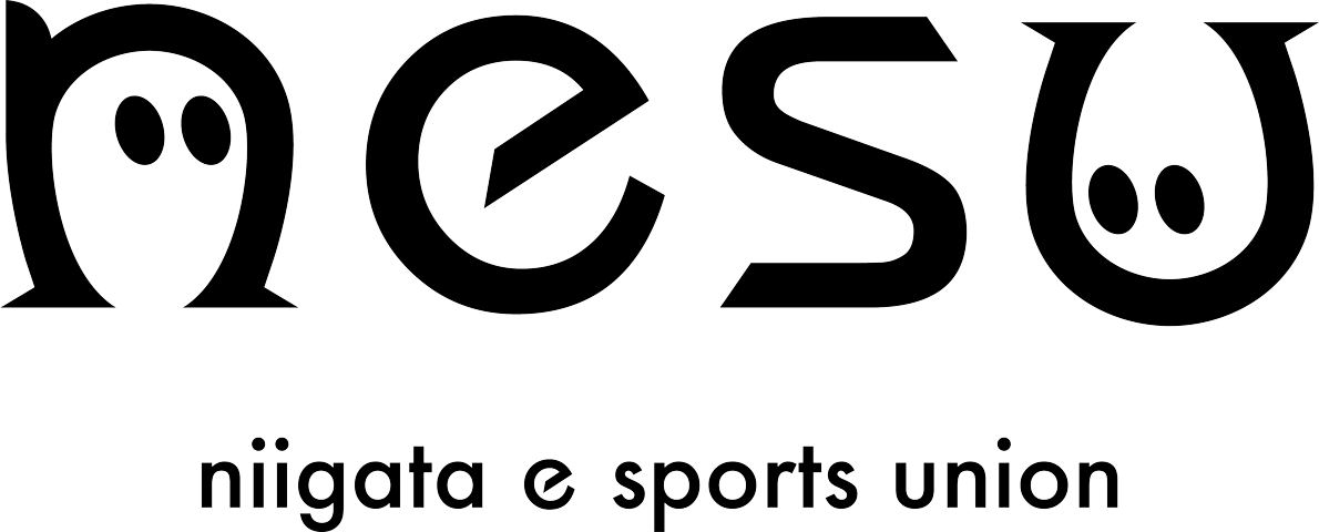 niigata e sports union