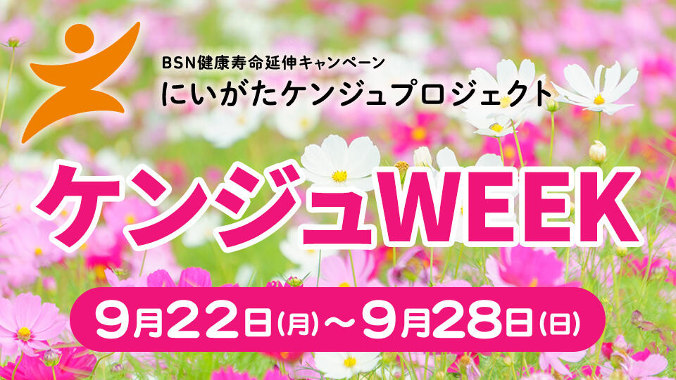 ケンジュWEEK(2025年9月22日~9月28日)
