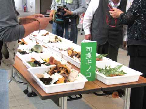 イベントイメージ