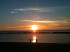 ピックアップ写真