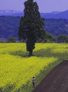 ピックアップ写真