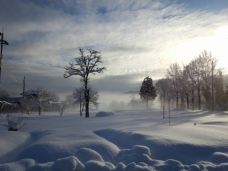 ピックアップ写真