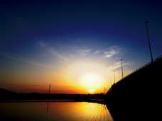 ピックアップ写真