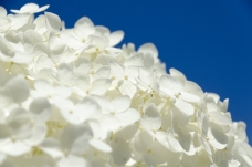 ピックアップ写真