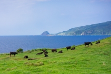 ピックアップ写真