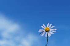 ピックアップ写真