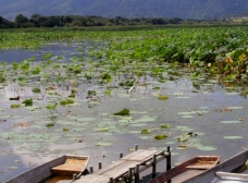 ピックアップ写真