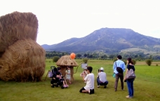 ピックアップ写真