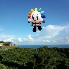 ピックアップ写真