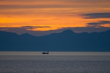 ピックアップ写真