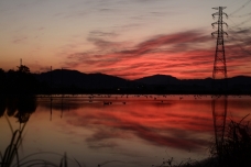 ピックアップ写真