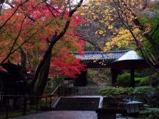 ピックアップ写真