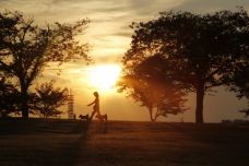 ピックアップ写真