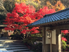 ピックアップ写真