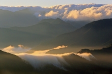 ピックアップ写真