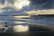 ピックアップ写真