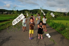 ピックアップ写真