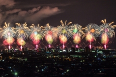 ピックアップ写真