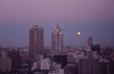 ピックアップ写真