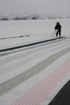 ピックアップ写真