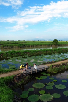 ピックアップ写真