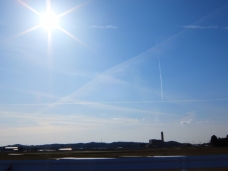 ピックアップ写真