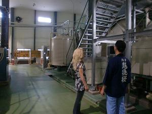 0818etigozakura 015.jpg