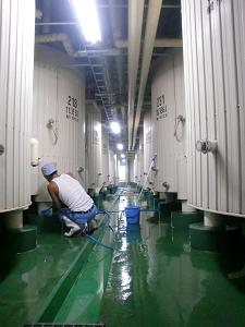 0818etigozakura 019.jpg