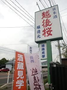 0818etigozakura 021.jpg