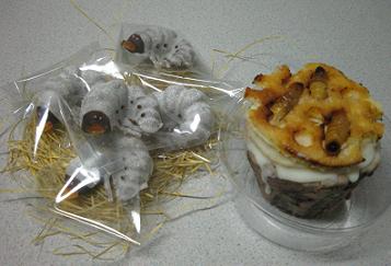 gokigen-120126 012.jpg