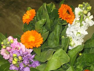 gokigen-120126 025.jpg